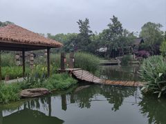 -黄龙溪古镇