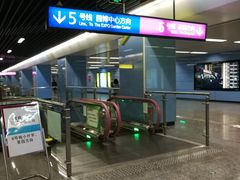 -大龙山(地铁站)