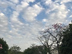 -江门古兜温泉小镇