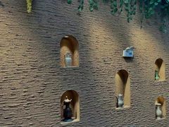 -新疆国际大巴扎