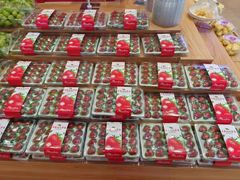 -雨露空间(嘉善施家店)