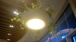 -悦诗风吟innisfree