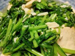 茼蒿炒豆腐-南门绿玉农贸市场