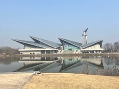 -盐城丹顶鹤湿地生态旅游区