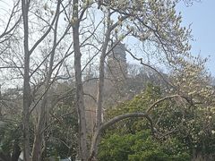 -焦山景区-万佛塔