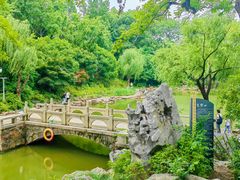 -红梅公园