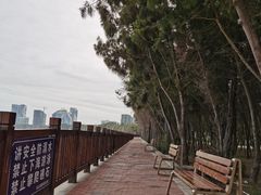 -马銮湾景区
