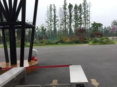 -上海长兴岛郊野公园