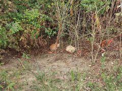 -白帝城·瞿塘峡景区