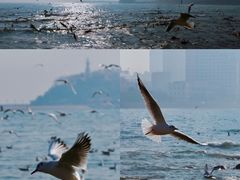 -栈桥景区