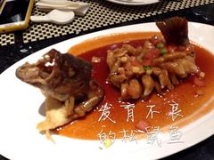 松鼠鱼-新兴·金羊座·粤菜点心(乐峰店)