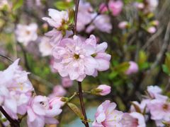 -白塘生态植物园