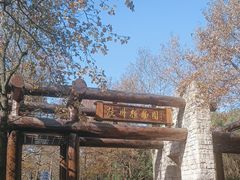 -杭州植物园