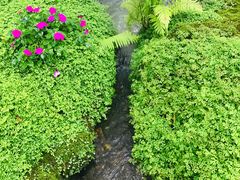 -Chom Cafe and Restaurant