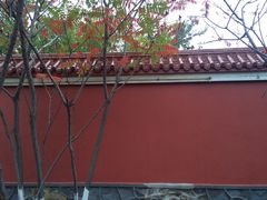 -二一九公园