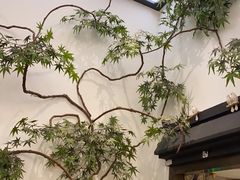 -耳艺采耳·足疗·按摩SPA(市桥店)