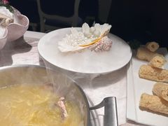 -汤城·料青山