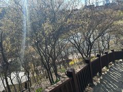 -大连植物园