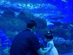 -成都浩海立方海洋公园