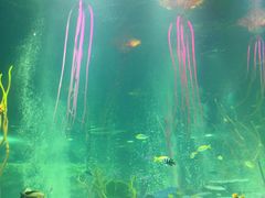 -沈阳海洋探索中心