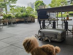 -SAANCI山池咖啡(海上世界文化艺术中心店)