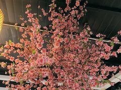 -野渡坡·极致湘菜·庭院餐厅(汉阳店)