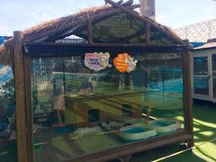 景点-南宫五洲植物乐园