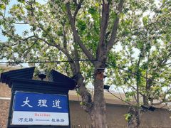 -天津五大道文化旅游区