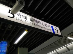 -大龙山(地铁站)