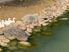 -苏州香山国际大酒店