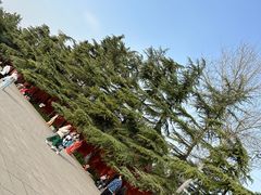 -洛阳白马寺