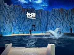 -珠海长隆海洋王国