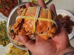 -小六农家乐(崇明西沙湿地店)