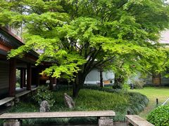 -浙江省博物馆(孤山馆区)