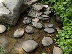 -黑龙潭公园