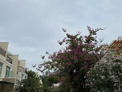 -江门古兜温泉小镇