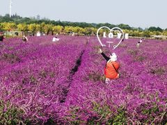 -嘉北郊野公园
