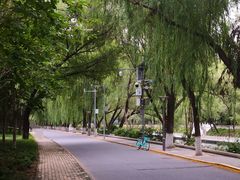 -南长河公园