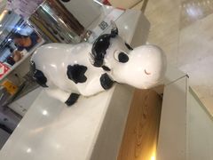 -一只酸奶牛(百联南岸上海城店)