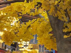 -老灶房-四川土菜(铁牛广场店)