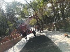 -灵岩山风景区