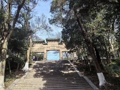 -灵谷景区