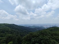 -阿婆牛杂·广府非遗地标美食(云山天地店)