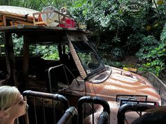 -奥兰多迪士尼动物王国乐园