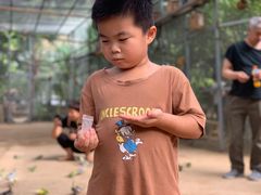 -呀路古热带植物园