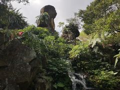 -海口火山口国家地质公园