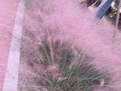 -剪刀石头布家居广场