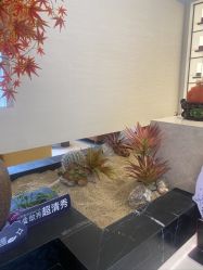 -娜芙缇缇med spa