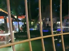 -二荆条·蜀鲜汇城市森林火锅