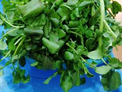 -广宁炭炉鸡煲·富临门饭店